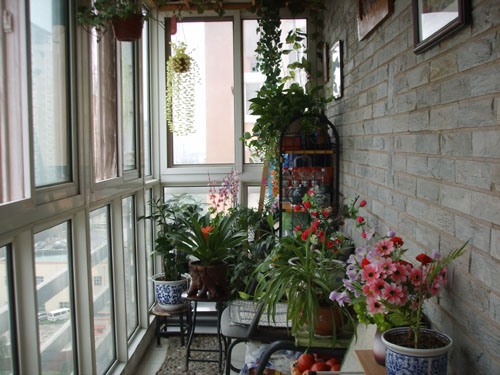 ”另类“的阳台你知道吗_荆州装修公司