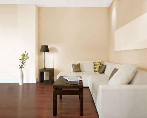 家装时如何刷好墙面漆？_荆州装修公司